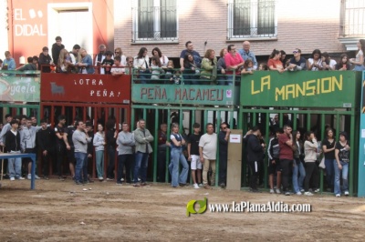 Fotografia /Galeria/2025/4/243605_156316/2_M1.jpg