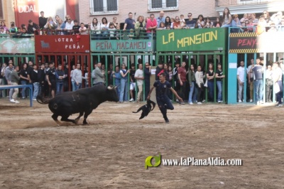 Fotografia /Galeria/2025/4/243605_156316/3_M1.jpg