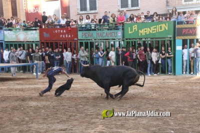 Fotografia /Galeria/2025/4/243605_156316/4_M1.jpg