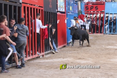 Fotografia /Galeria/2025/4/243605_156316/5_M1.jpg