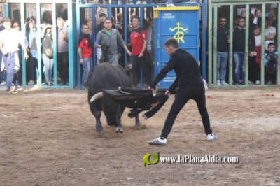 Fotografia /Galeria/2025/4/243605_156316/6_M1.jpg