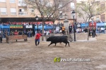 Fotografia /Galeria/2025/4/243605_156316/9_M1.jpg