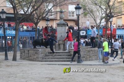 Fotografia /Galeria/2025/4/243609_156319/5_M1.jpg