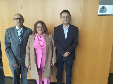 Fotografia /Galeria/2025/4/243727_156393/4_M1.jpg