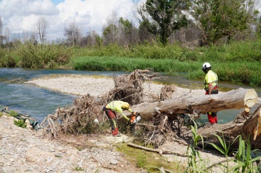 La Confederación Hidrográfica del Júcar destina 19 millones de euros para restituir los cauces dañados por la DANA del 29-O en el tramo bajo del río Turia