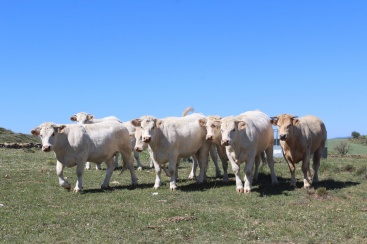 Fotografia /Galeria/2025/4/243760_156416/2_M1.jpg