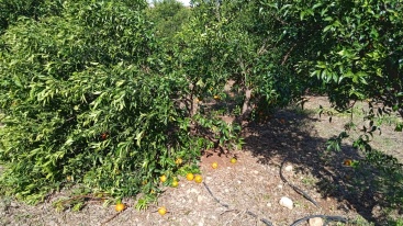 Fotografia /Galeria/2025/4/243760_156416/3_M1.jpg