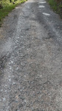 Fotografia /Galeria/2025/5/243847_156483/2_M1.jpg