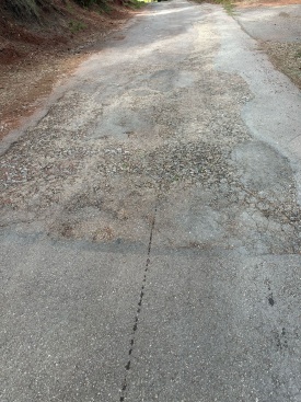 Fotografia /Galeria/2025/5/243847_156483/3_M1.jpg