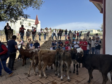 La III Trobada de Penyes Taurines en Vall d'Alba reúne a cientos de aficionados
