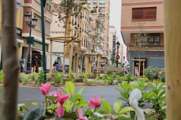 Finaliza la tercera fase de la calle Trinidad con plantaciones de arbolado