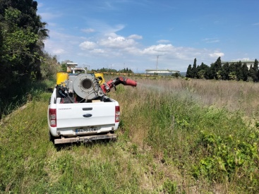 Almassora realiza trabajos contra las plagas urbanas en el alcantarillado público