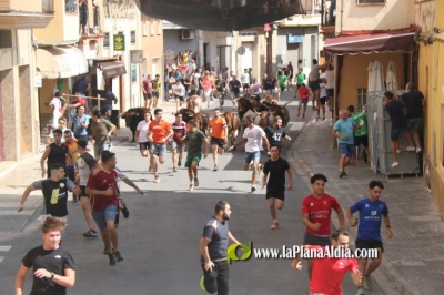 Fotografia /Galeria/2025/5/244187_156732/3_M1.jpg