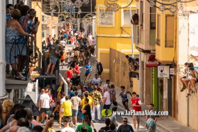 Fotografia /Galeria/2025/5/244187_156732/4_M1.jpg