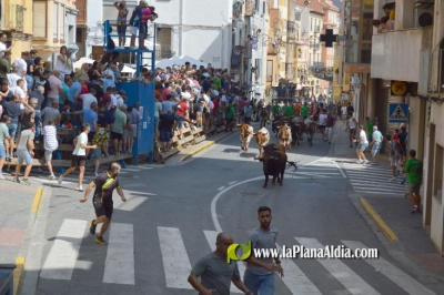 Fotografia /Galeria/2025/5/244187_156732/5_M1.jpg