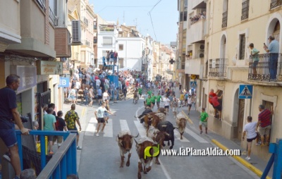 Fotografia /Galeria/2025/5/244187_156732/6_M1.jpg