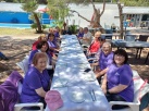 Associaci de Castell celebra el Dia Mundial de la Fibromilgia