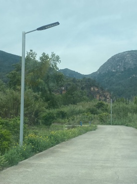 Concesión de subvención para dotar de luz solar los caminos del área de cultivo en Fanzara