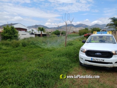 La Diputación de Castellón refuerza las actuaciones de vigilancia y tratamientos larvicidas para frenar la presencia de mosquitos en la provincia