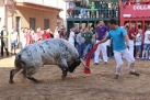 Fotografia /Galeria/2025/5/244493_156955/3_M1.jpg
