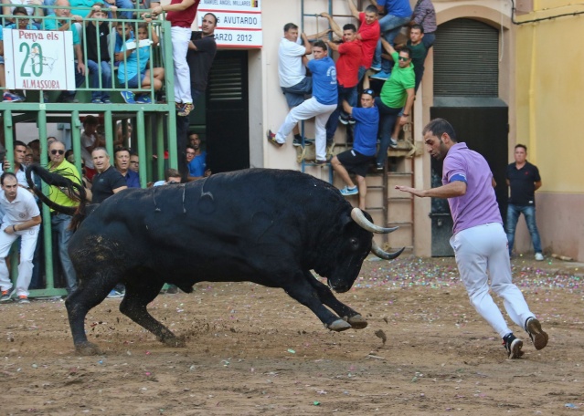 Almassora: pr�xima parada de les retransmissions taurines d'� Punt