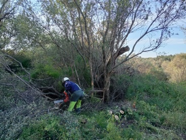 El Ayuntamiento de Xert trabaja en la prevención de incendios con tres brigadas especializadas