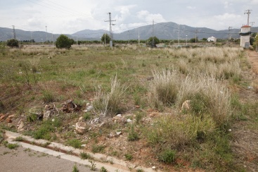 Fotografia /Galeria/2025/5/244533_156990/2_M1.jpg