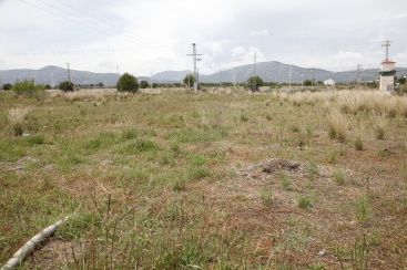 Fotografia /Galeria/2025/5/244533_156990/3_M1.jpg