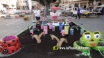 Borriana ja viu de pl la festa de les Creus de Maig
