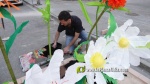 Borriana ja viu de pl la festa de les Creus de Maig