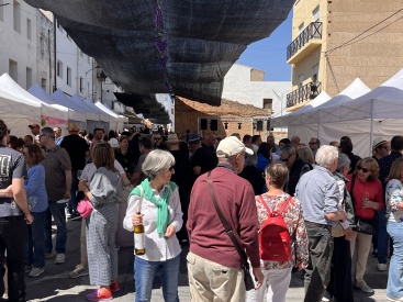 Fotografia /Galeria/2025/5/244671_157103/2_M1.jpg