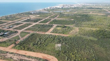 El Tribunal de Cuentas archiva la causa por falta de penalidades en el Ayuntamiento de Burriana