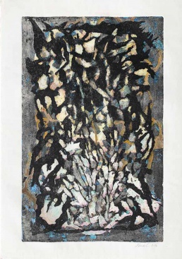 Fotografia /Galeria/2025/5/244868_157235/2_M1.jpg