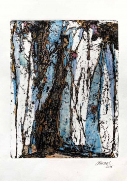 Fotografia /Galeria/2025/5/244868_157235/4_M1.jpg