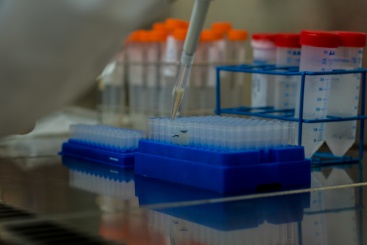 Fisabio y la UJI buscan colaboración para investigar el síndrome de Smith-Lemli-Opitz (SLOS)