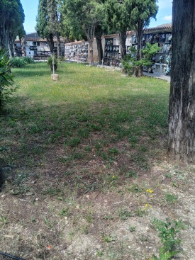 Fotografia /Galeria/2025/5/244986_157318/2_M1.jpg