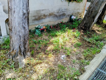 Fotografia /Galeria/2025/5/244986_157318/3_M1.jpg