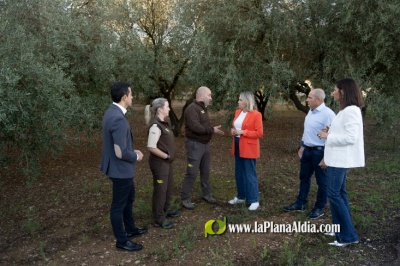 La Diputación de Castellón refuerza la seguridad en el campo e incrementa un 50% las ayudas destinadas a los municipios para la contratación de guardas rurales