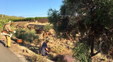 Betxí abre el plazo para el programa de empleo agrario que contratará a 23 personas este verano