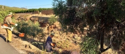 Betx abre el plazo para el programa de empleo agrario que contratar a 23 personas este verano