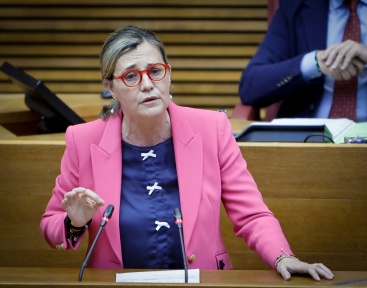 Bastidas: 'La izquierda no soporta que el Consell de Mazón desatasque las residencias de mayores o mejore la renta valenciana de inclusión'