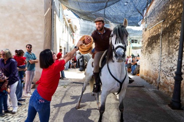 Fotografia /Galeria/2025/5/245197_157475/4_M1.jpg