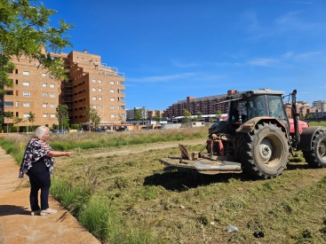 Refuerzo de limpieza y desbroce en solares municipales en Oropesa del Mar