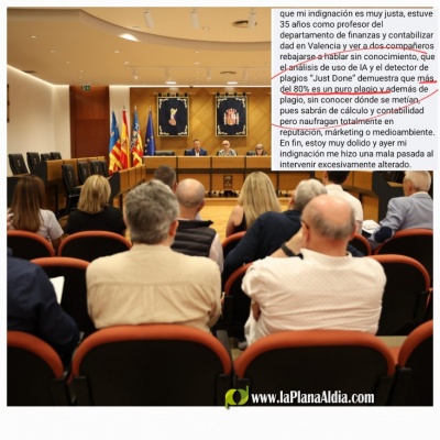 Vecinos aseguran que el informe de la repercusión del festival no pasa la prueba del 'anticopy'