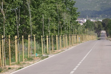 Cabanes millora la seguretat de la carretera de l'Arc Romà