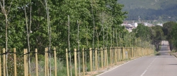 Cabanes millora la seguretat de la carretera de l'Arc Rom