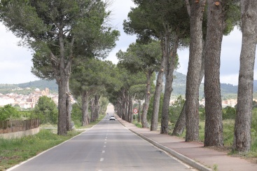 Fotografia /Galeria/2025/5/245301_157554/2_M1.jpg