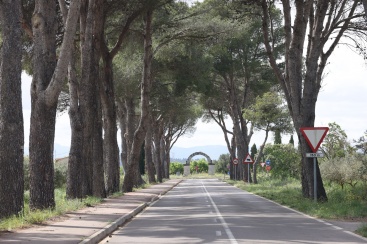 Fotografia /Galeria/2025/5/245301_157554/4_M1.jpg