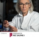 Fotografia /Galeria/2025/5/245393_157614/2_M1.jpg