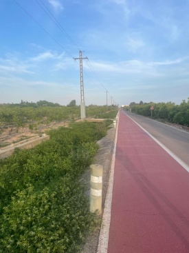 El PP de Nules urge la limpieza de los canales de la Marjaleria para prevenir inundaciones y evitar plagas